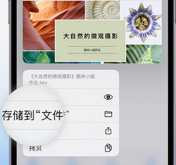 博罗apple维修中心分享iPhone文件应用中存储和找到下载文件