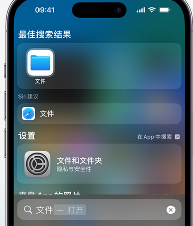 博罗apple维修中心分享iPhone文件应用中存储和找到下载文件 