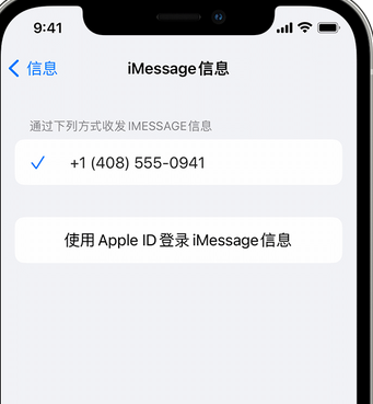 博罗apple维修iPhone上无法正常发送iMessage信息 