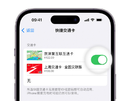 博罗apple维修点分享iPhone上更换Apple Pay快捷交通卡手绘卡面 