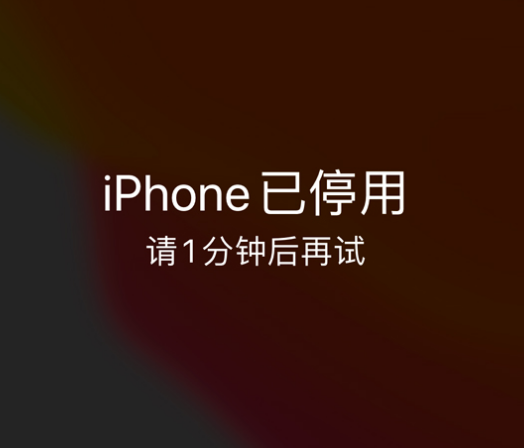 博罗苹果手机维修分享:iPhone 显示“不可用”或“已停用”怎么办？还能保留数据吗？ 