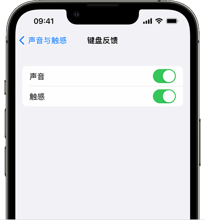 博罗苹果14维修店分享如何在 iPhone 14 机型中使用触感键盘 