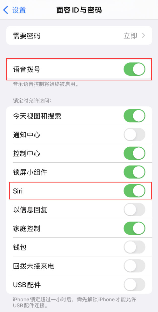 博罗苹果维修网点分享不解锁 iPhone 的情况下通过 Siri 拨打电话的方法 