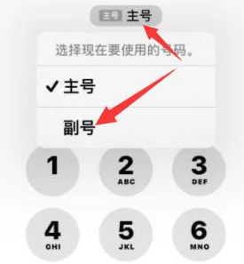 博罗苹果14维修店分享iPhone 14 Pro Max使用副卡打电话的方法 