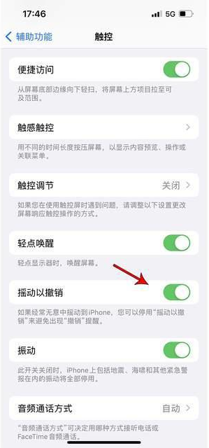 博罗苹果手机维修分享iPhone手机如何设置摇一摇删除文字 